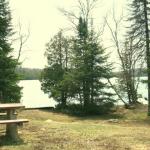 Cabin 3 lake view in spring.