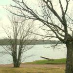 Cabin 8 view of lake.