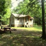 Cabin 9 in the summertime.