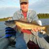 Crooked Lake walleye.