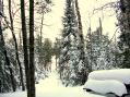 Winter Fun