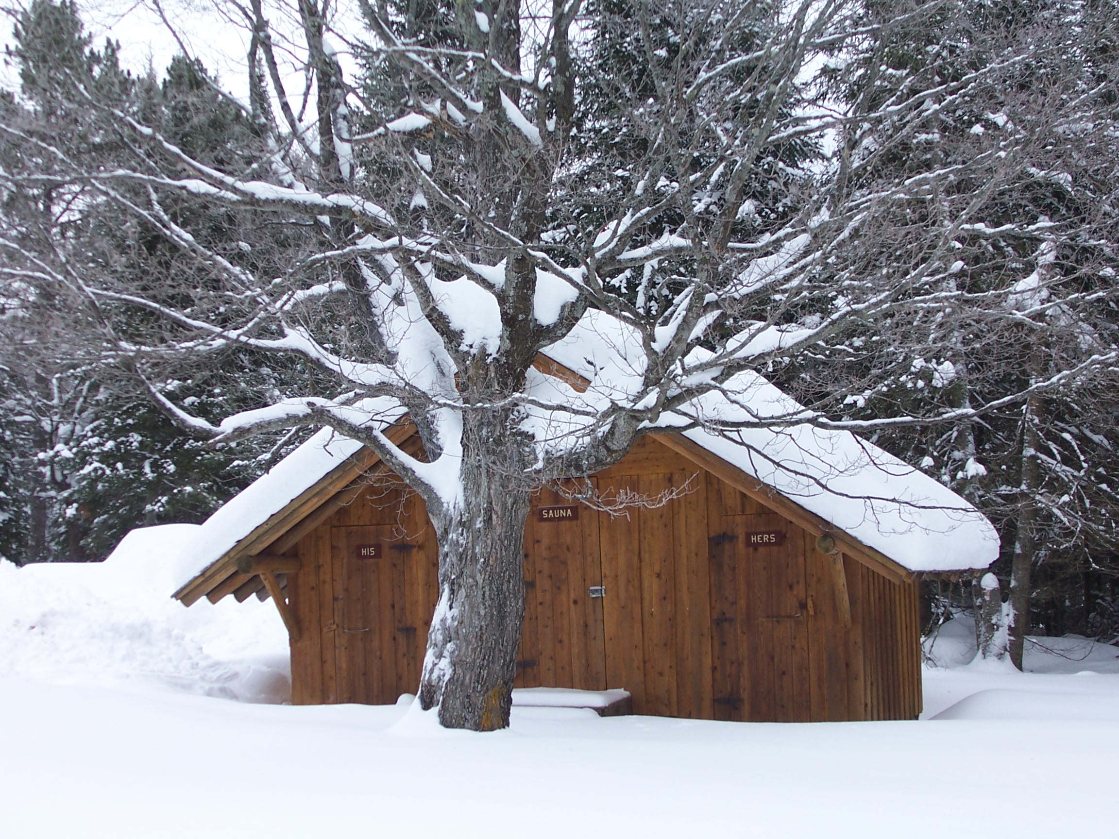 sauna.jpg - 25.0 K